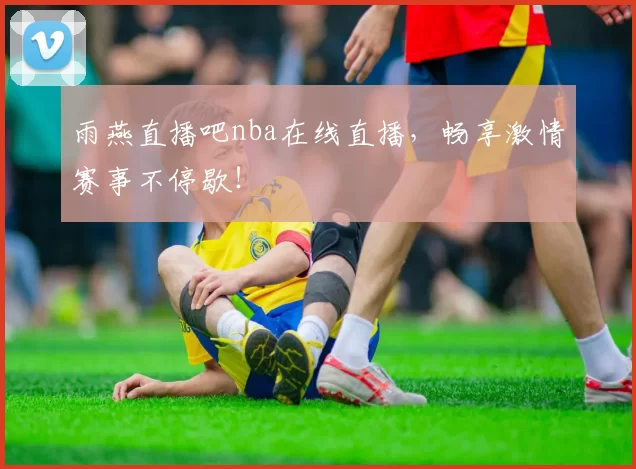 雨燕直播吧nba在线直播，畅享激情赛事不停歇！
