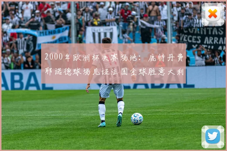 2000年欧洲杯决赛场地：鹿特丹费耶诺德球场见证法国金球胜意大利