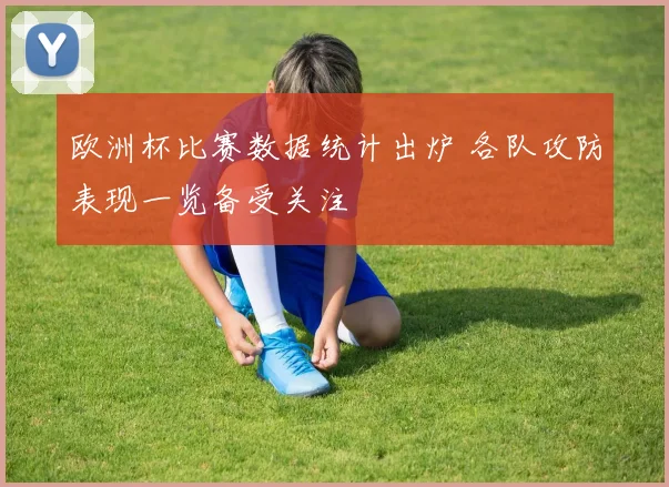 欧洲杯比赛数据统计出炉 各队攻防表现一览备受关注