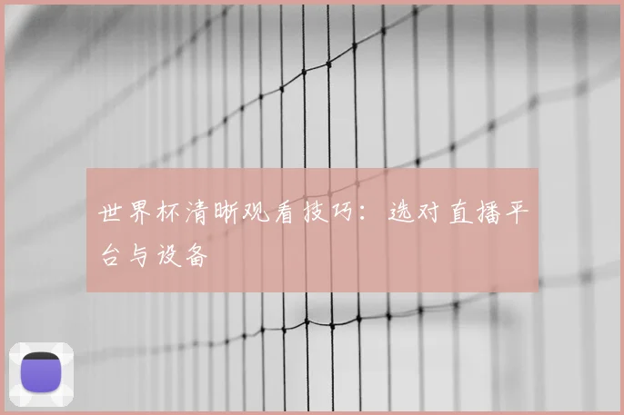 世界杯清晰观看技巧：选对直播平台与设备