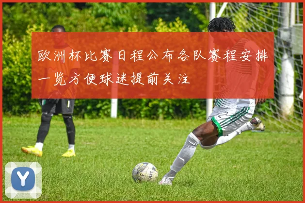 欧洲杯比赛日程公布各队赛程安排一览方便球迷提前关注