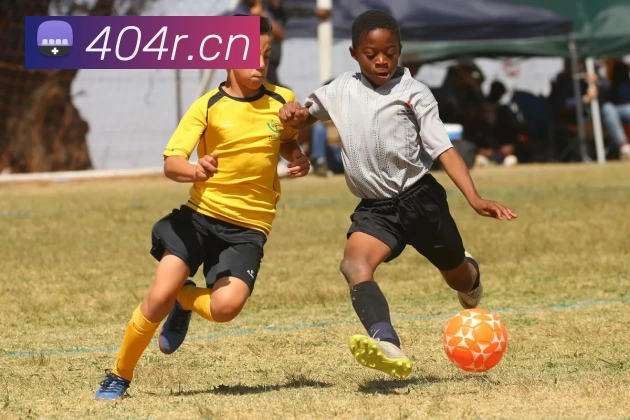 开云(中国)Kaiyun·官方网站 - 登录入口发展历程